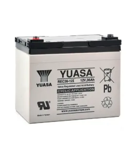 Batería Yuasa REC36-12 36Ah 12V